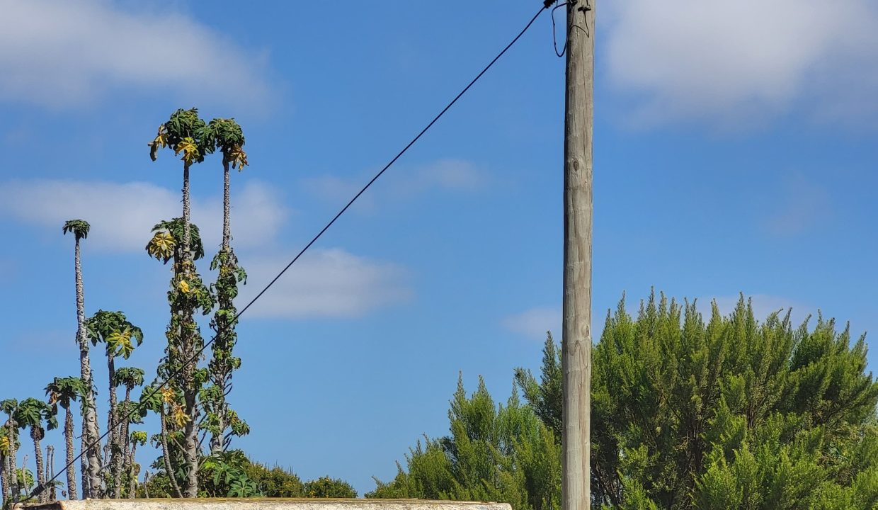 IMG-20250217-WA0324