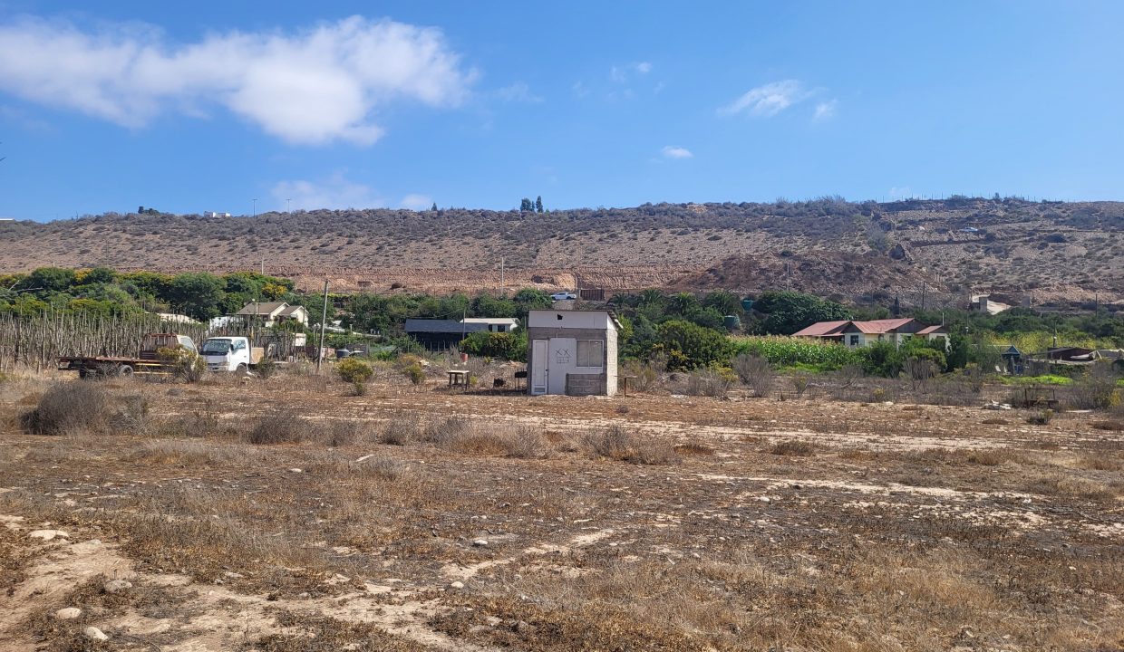 IMG-20250217-WA0335