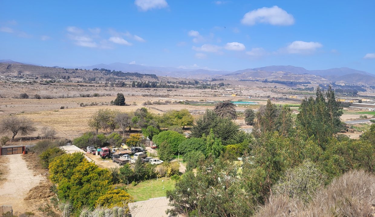 IMG-20250217-WA0339