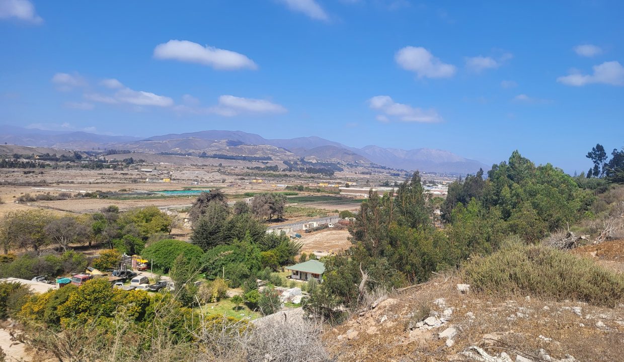 IMG-20250217-WA0343