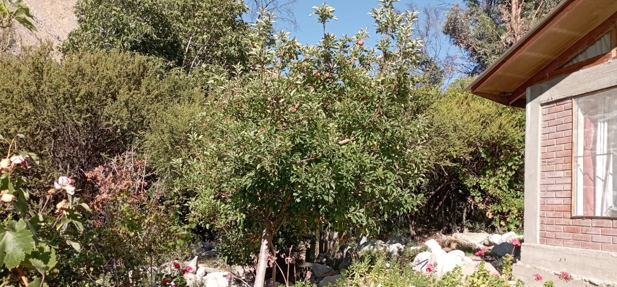 IMG-20250320-WA0179