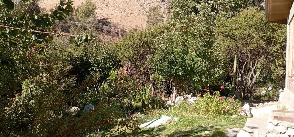 IMG-20250320-WA0180