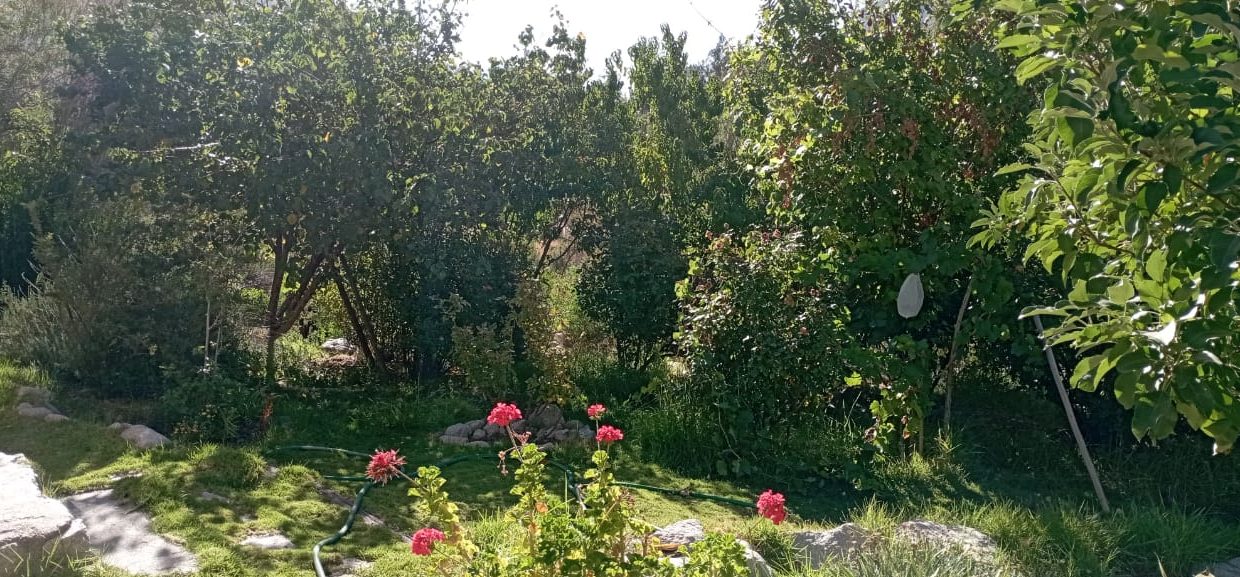 IMG-20250320-WA0182
