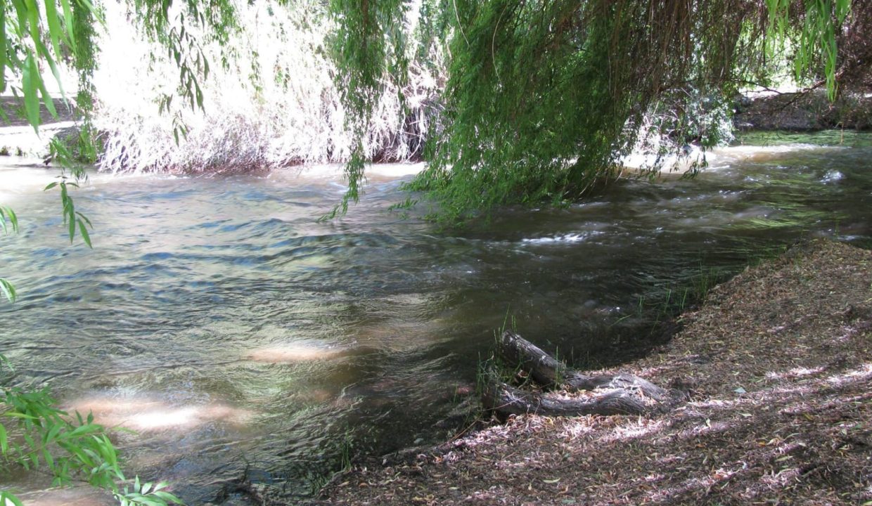 IMG-20250320-WA0184