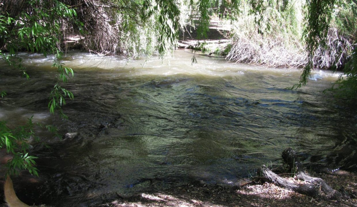 IMG-20250320-WA0185