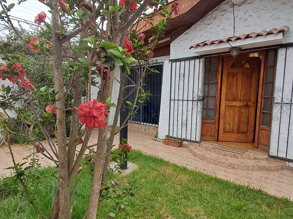 Imagen de WhatsApp 2025-05-05 a las 13.25.28_d569f716
