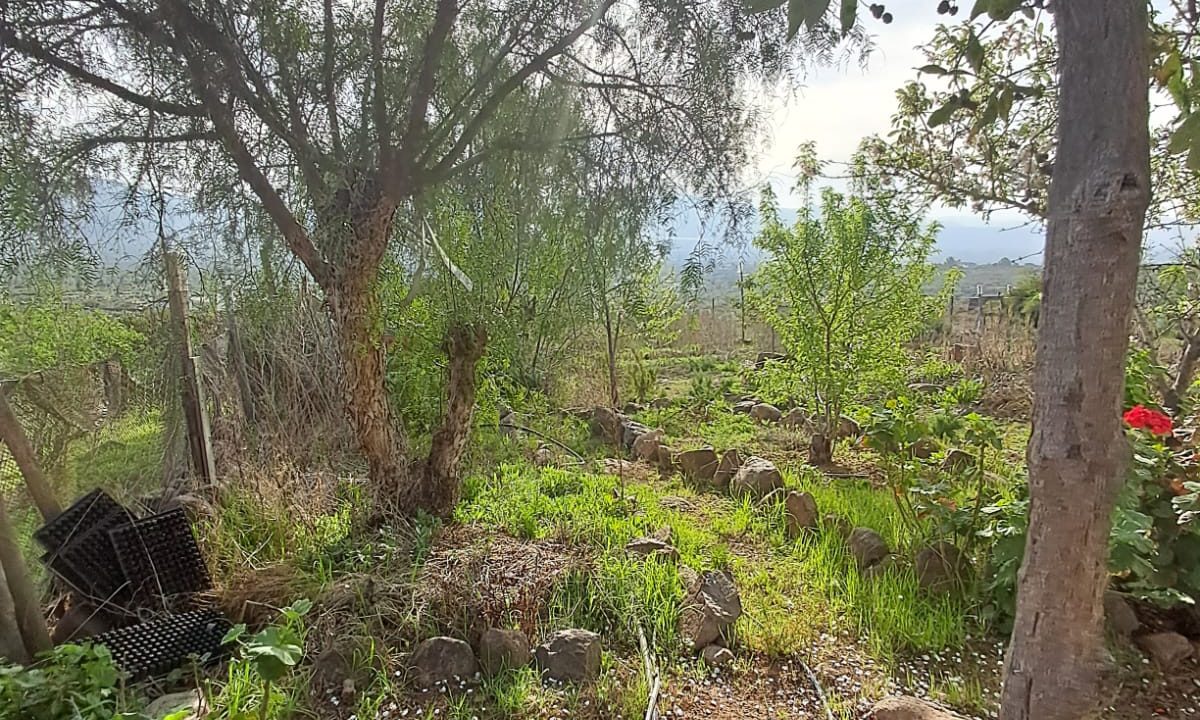 Imagen de WhatsApp 2025-08-06 a las 13.01.47_4143dcbb