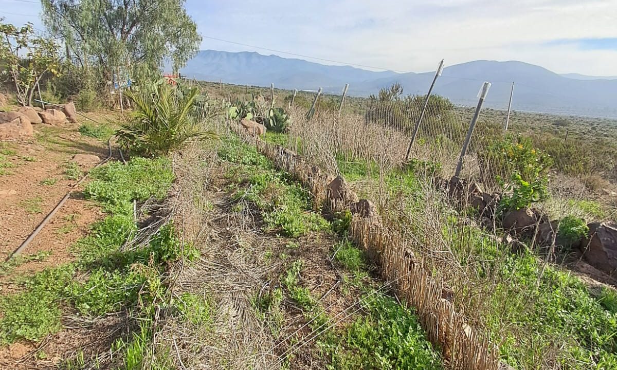 Imagen de WhatsApp 2025-08-06 a las 13.01.49_c348733c