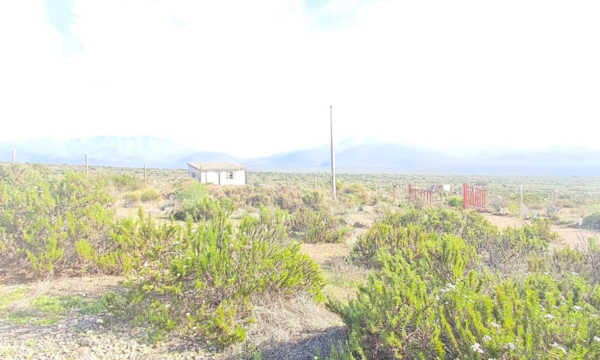 Imagen de WhatsApp 2025-08-06 a las 13.01.53_670eabc3