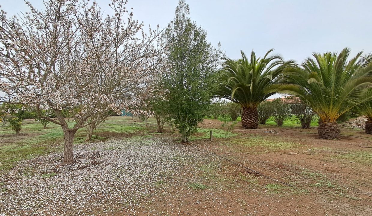 Imagen de WhatsApp 2025-08-19 a las 11.02.25_e4cdb99f