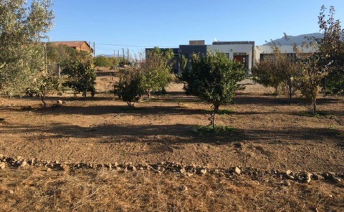 Imagen de WhatsApp 2025-10-06 a las 09.48.57_abeb8b1c