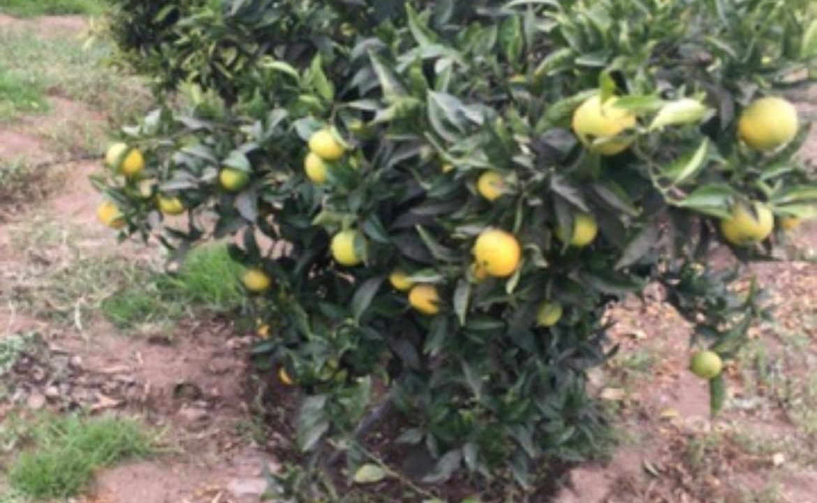 Imagen de WhatsApp 2025-10-06 a las 09.48.58_ba420e27