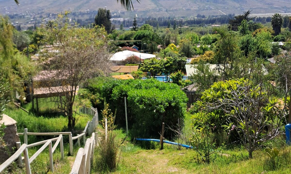 Imagen de WhatsApp 2025-10-11 a las 13.22.29_b024fcf0