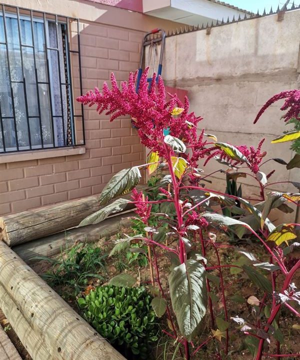 35651_9nq3YcxqerjpbtGq4khP20230425234128