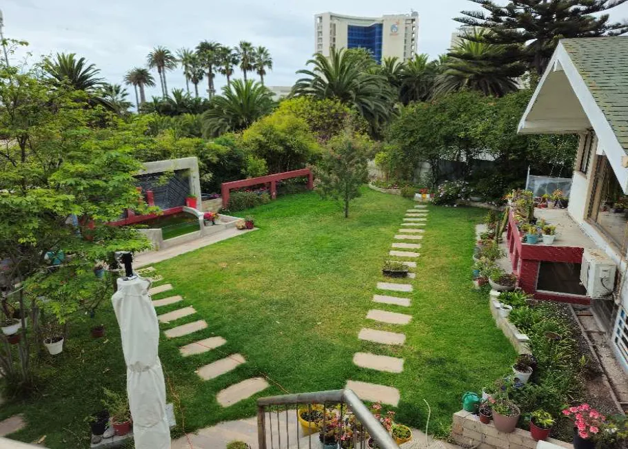 D_616560-MLC97268289088_112025-F