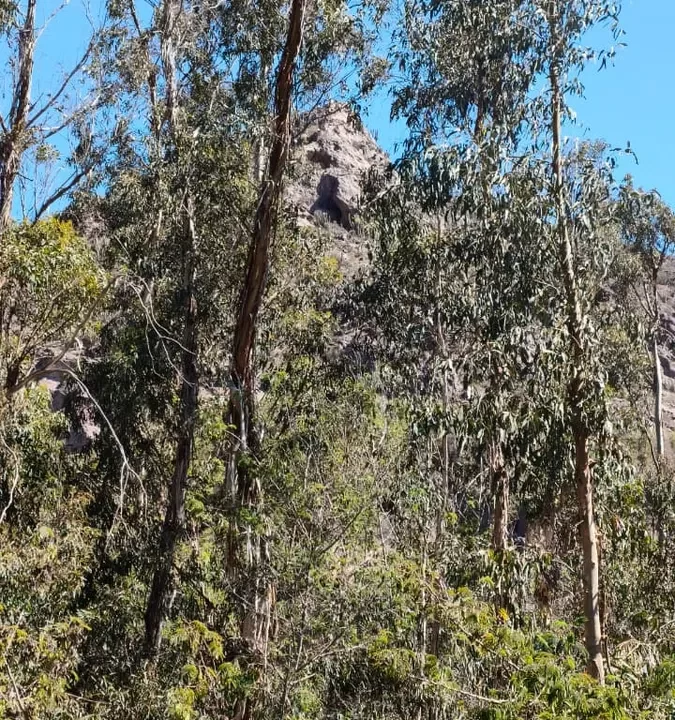 D_NQ_NP_2X_676698-MLC97264542044_112025-F-frente-a-casa-molle-rio-vertiente-hermoso-terreno