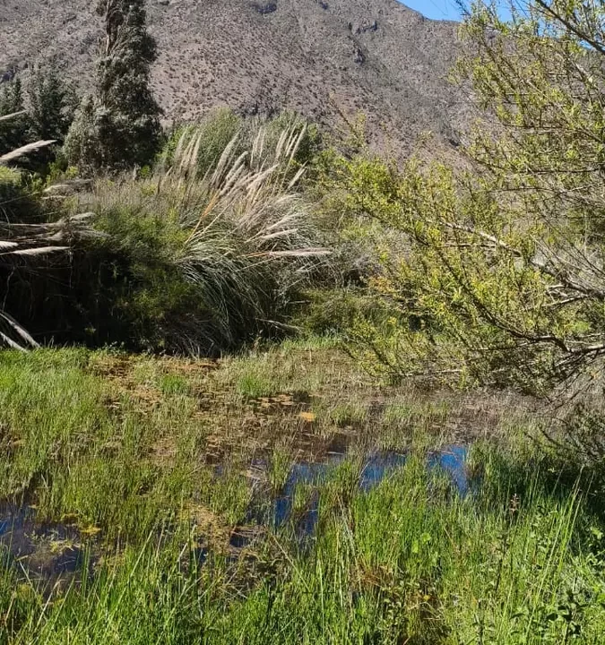 D_NQ_NP_2X_792232-MLC97264601688_112025-F-frente-a-casa-molle-rio-vertiente-hermoso-terreno
