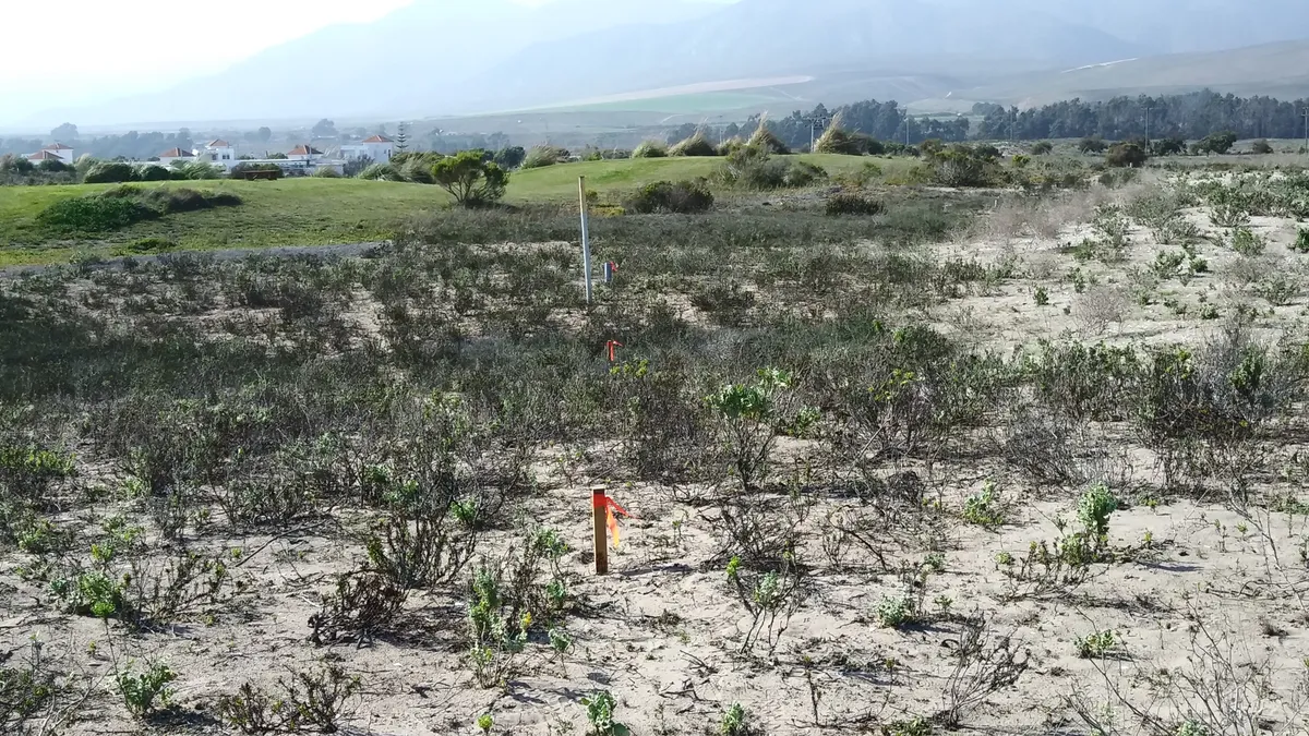 D_NQ_NP_2X_844108-MLC97727363761_112025-F-deslinda-con-cancha-de-golf-la-serena-golf