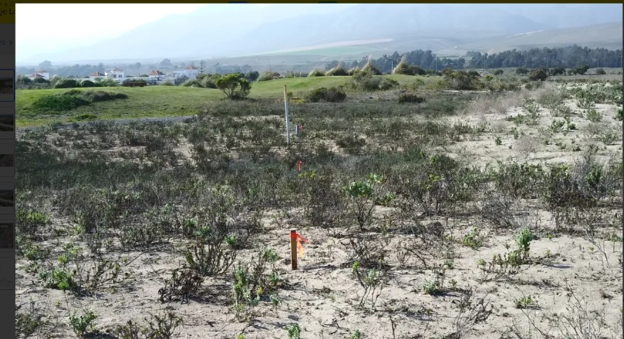 Imagen de WhatsApp 2025-12-02 a las 12.31.49_80559f08