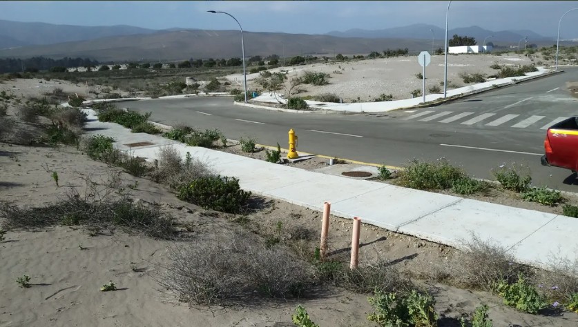 Imagen de WhatsApp 2025-12-02 a las 12.32.14_af920278