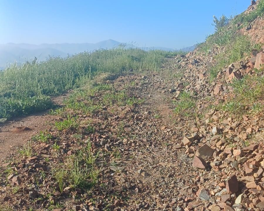 WhatsApp Image 2025-12-20 at 11.35.27 AM