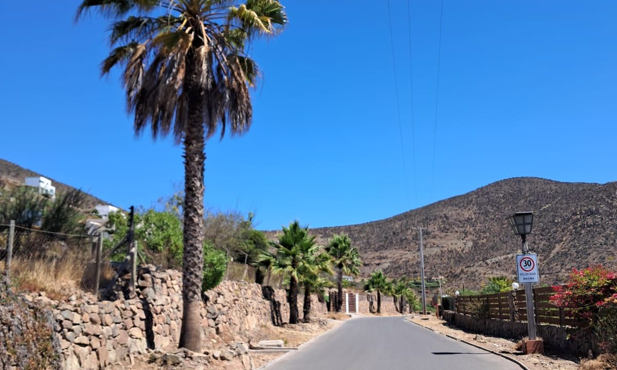 WhatsApp Image 2025-12-23 at 5.48.59 PM