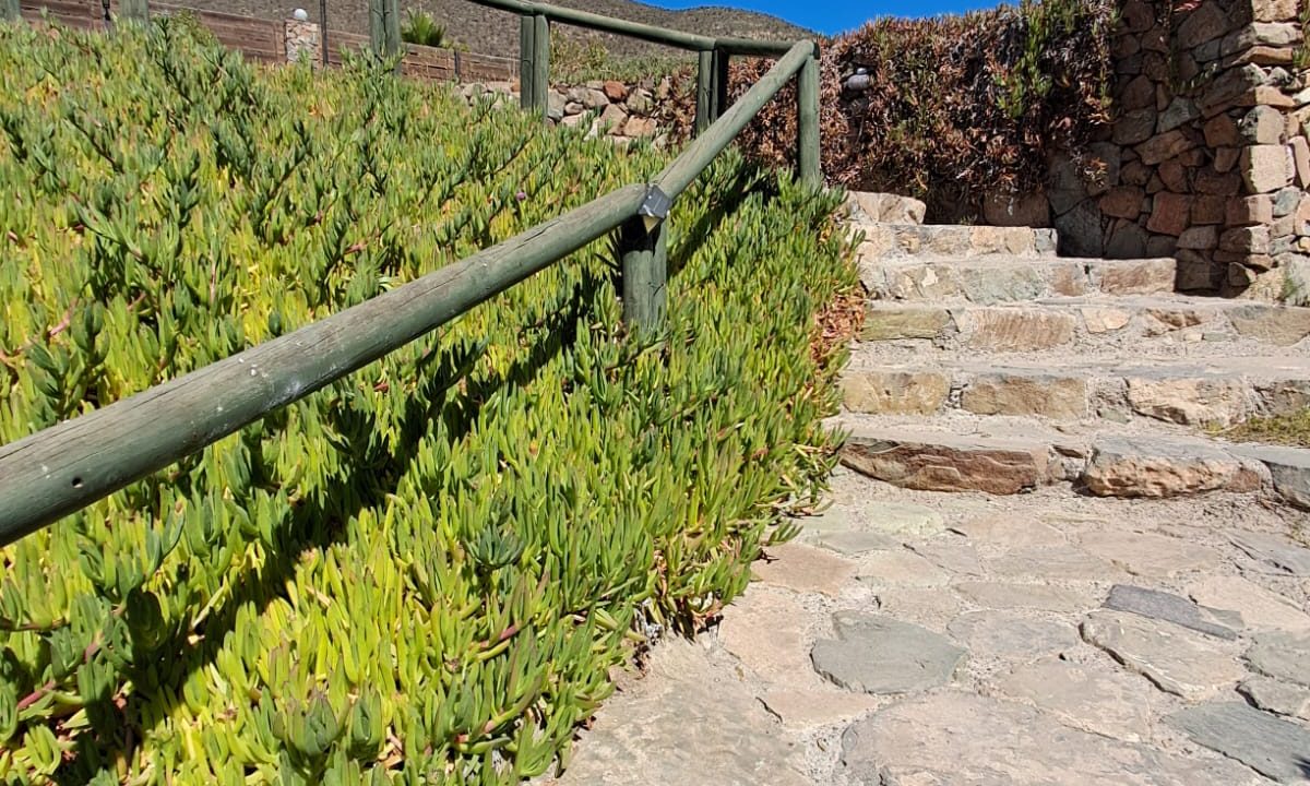 WhatsApp Image 2025-12-23 at 5.49.11 PM