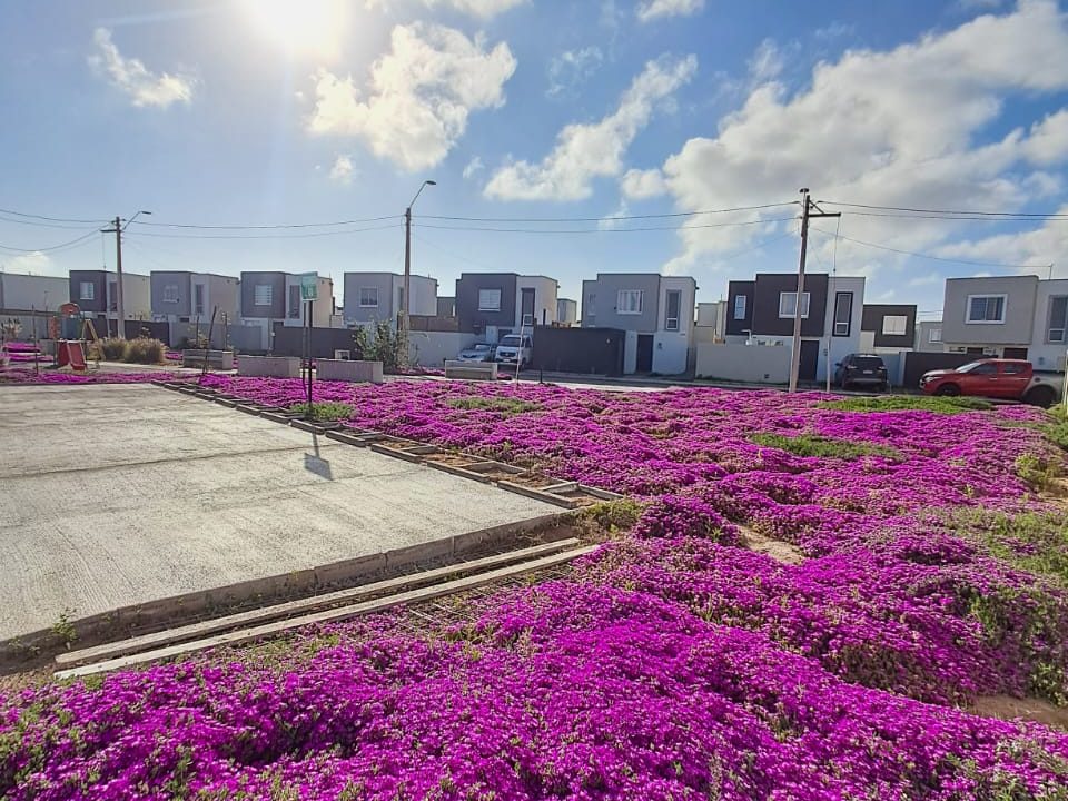 Imagen de WhatsApp 2025-09-01 a las 16.29.12_13162a59