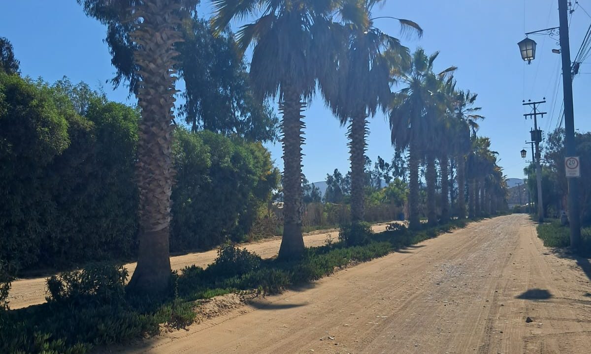 WhatsApp Image 2026-01-20 at 12.04.14 PM